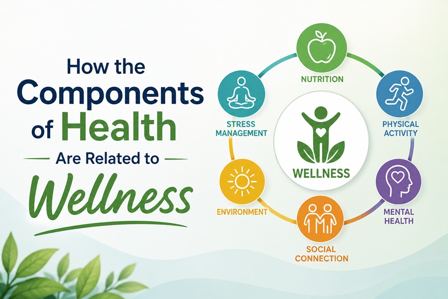 How the Components of Health Are Related to Wellness