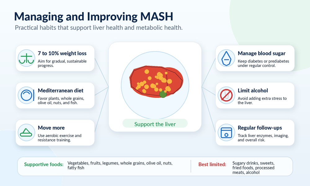 Lifestyle and medical follow-up steps for managing and improving MASH liver disease