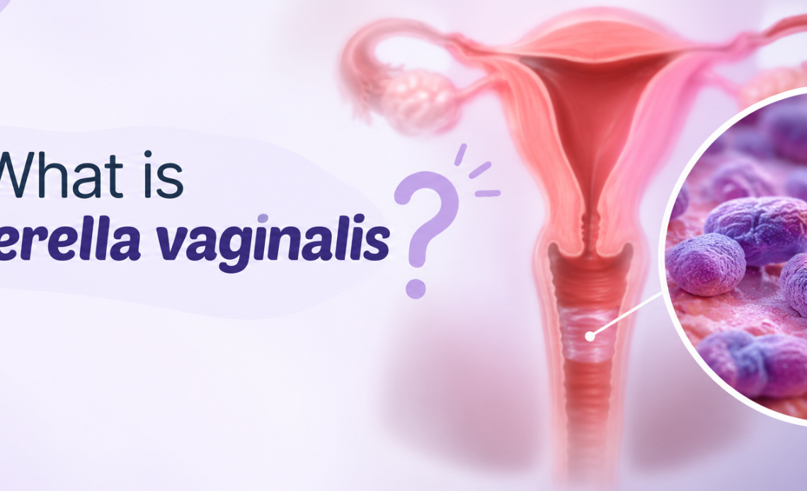 what is Gardnerella vaginalis